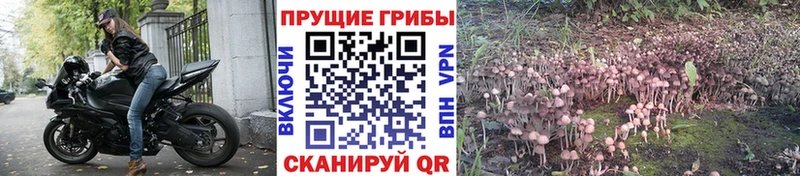 Купить закладки  Стрежевой  Галлюциногенные грибы ЛСД 